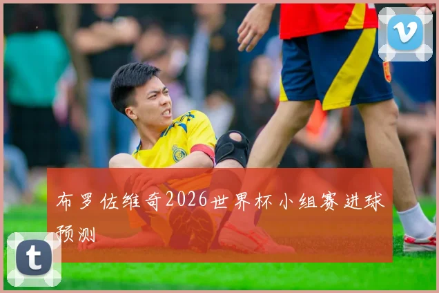 布罗佐维奇2026世界杯小组赛进球预测