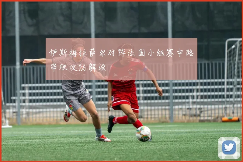 伊斯梅拉萨尔对阵法国小组赛中路串联攻防解读