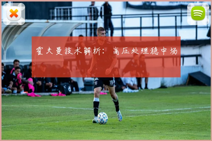 霍夫曼技术解析:高压处理稳中场