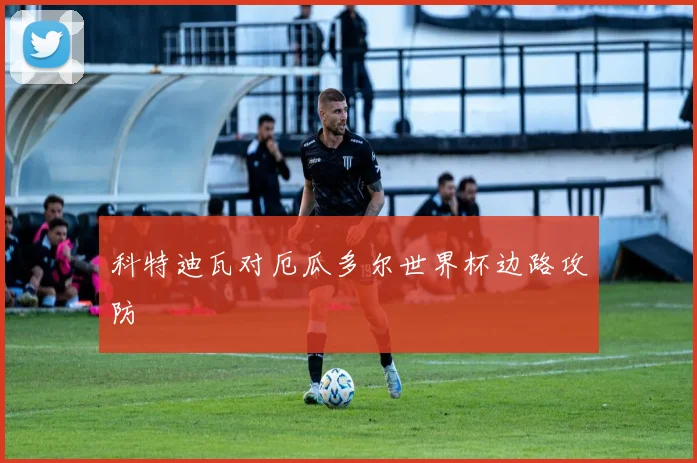 科特迪瓦对厄瓜多尔世界杯边路攻防