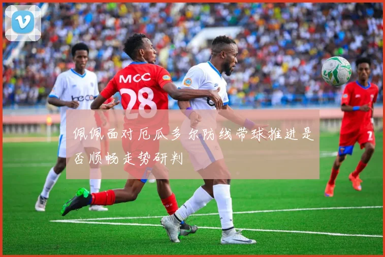 佩佩面对厄瓜多尔防线带球推进是否顺畅走势研判