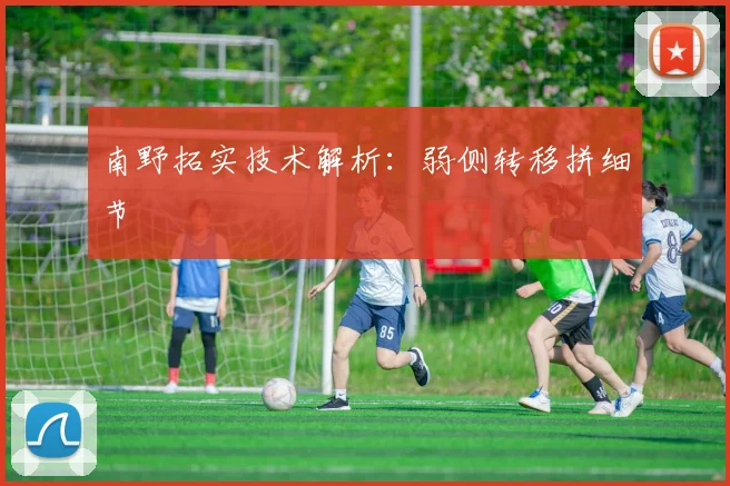 南野拓实技术解析：弱侧转移拼细节