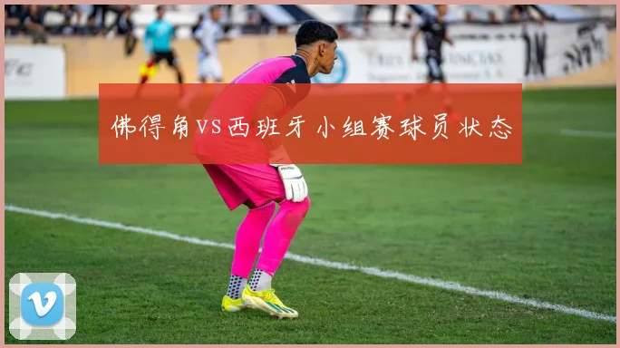 佛得角vs西班牙小组赛球员状态