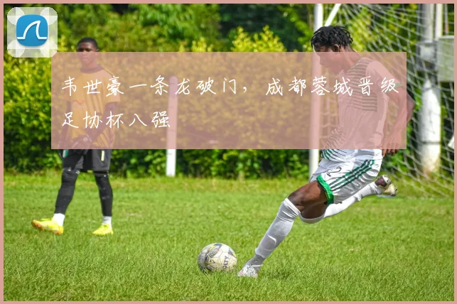 韦世豪一条龙破门，成都蓉城晋级足协杯八强